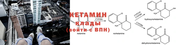 СК Волоколамск