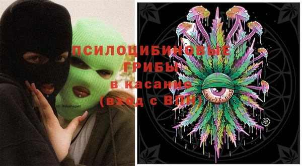 молекула духа Володарск