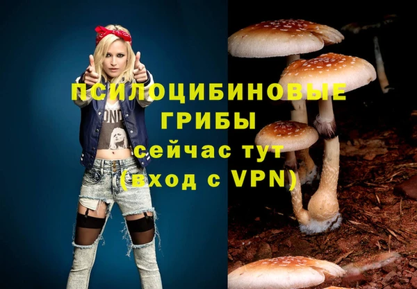молекула духа Володарск