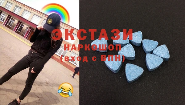 СК Волоколамск