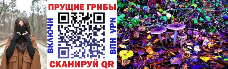Галлюциногенные грибы Magic Shrooms  KRAKEN онион  Лодейное Поле 